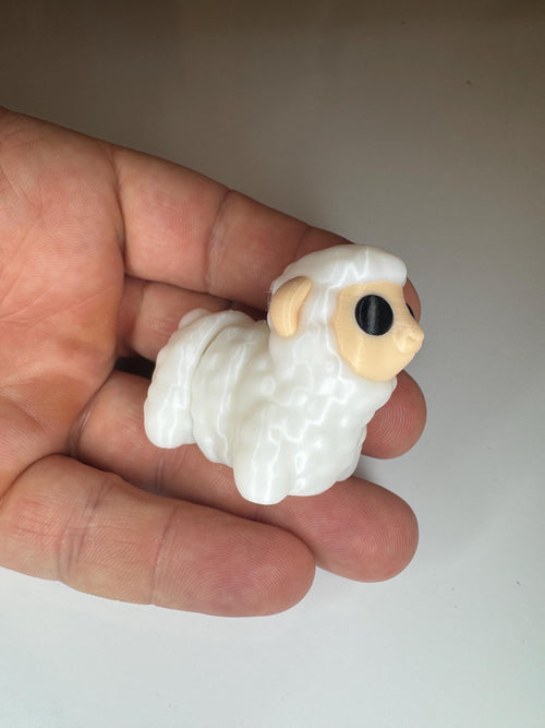 Cute Sheep