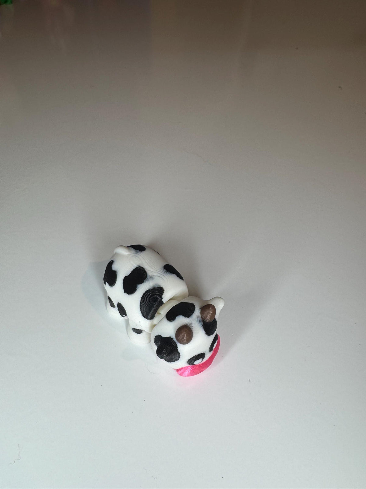 Cute Cow
