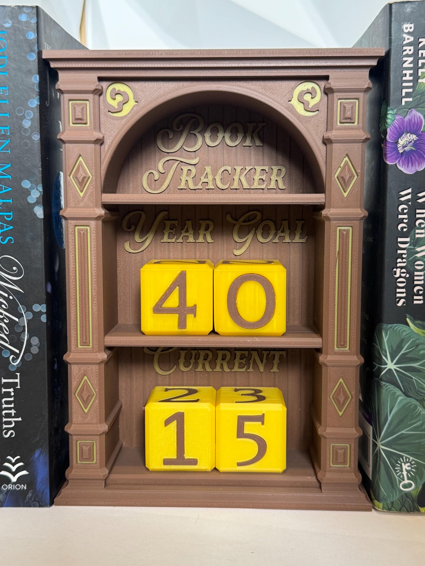 Book Tracker Reading Goal Display | Year Goal & Current Read Counter | BookTok Gift | Fantasy Bookshelf Decor