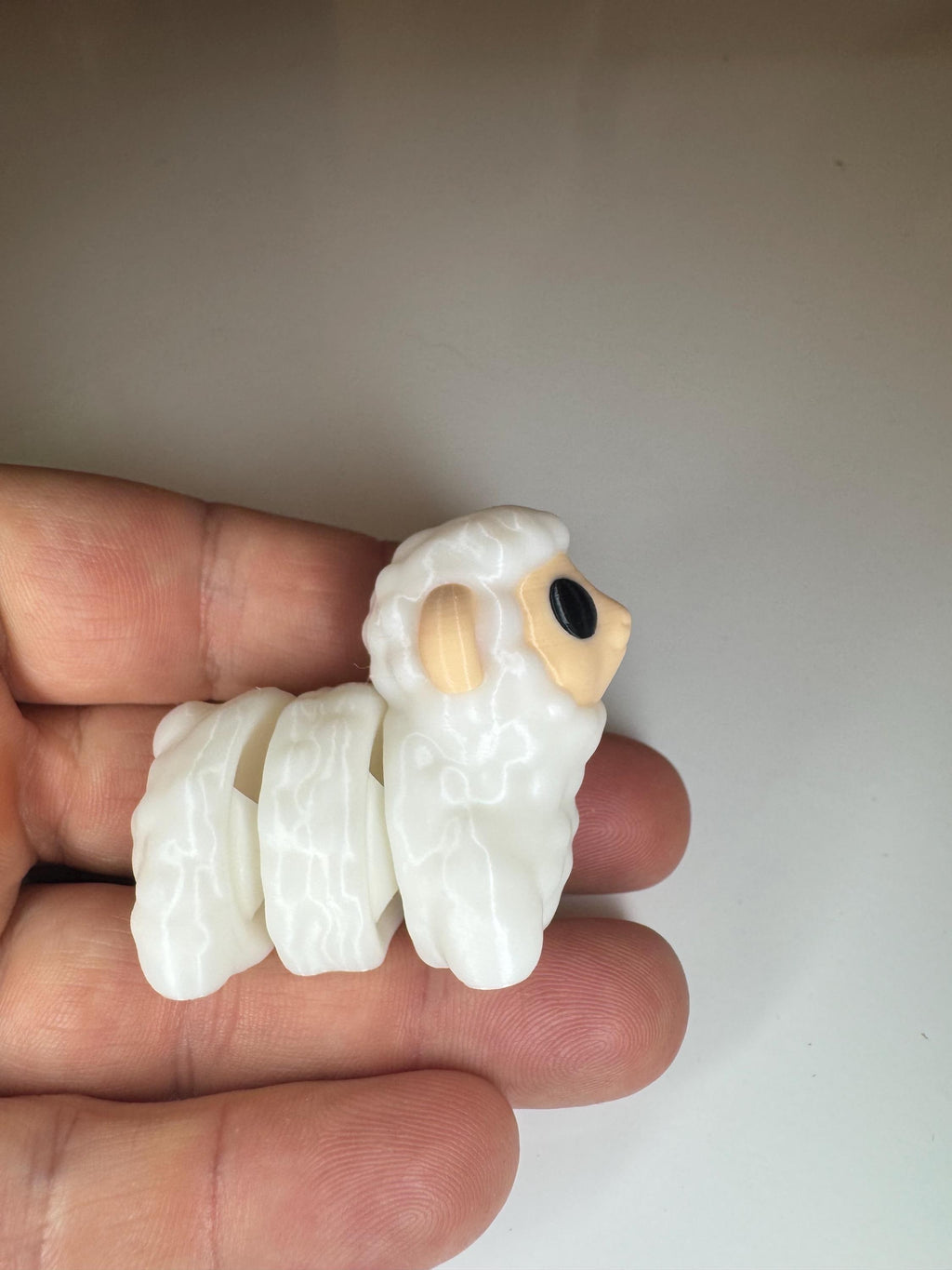 Cute Sheep