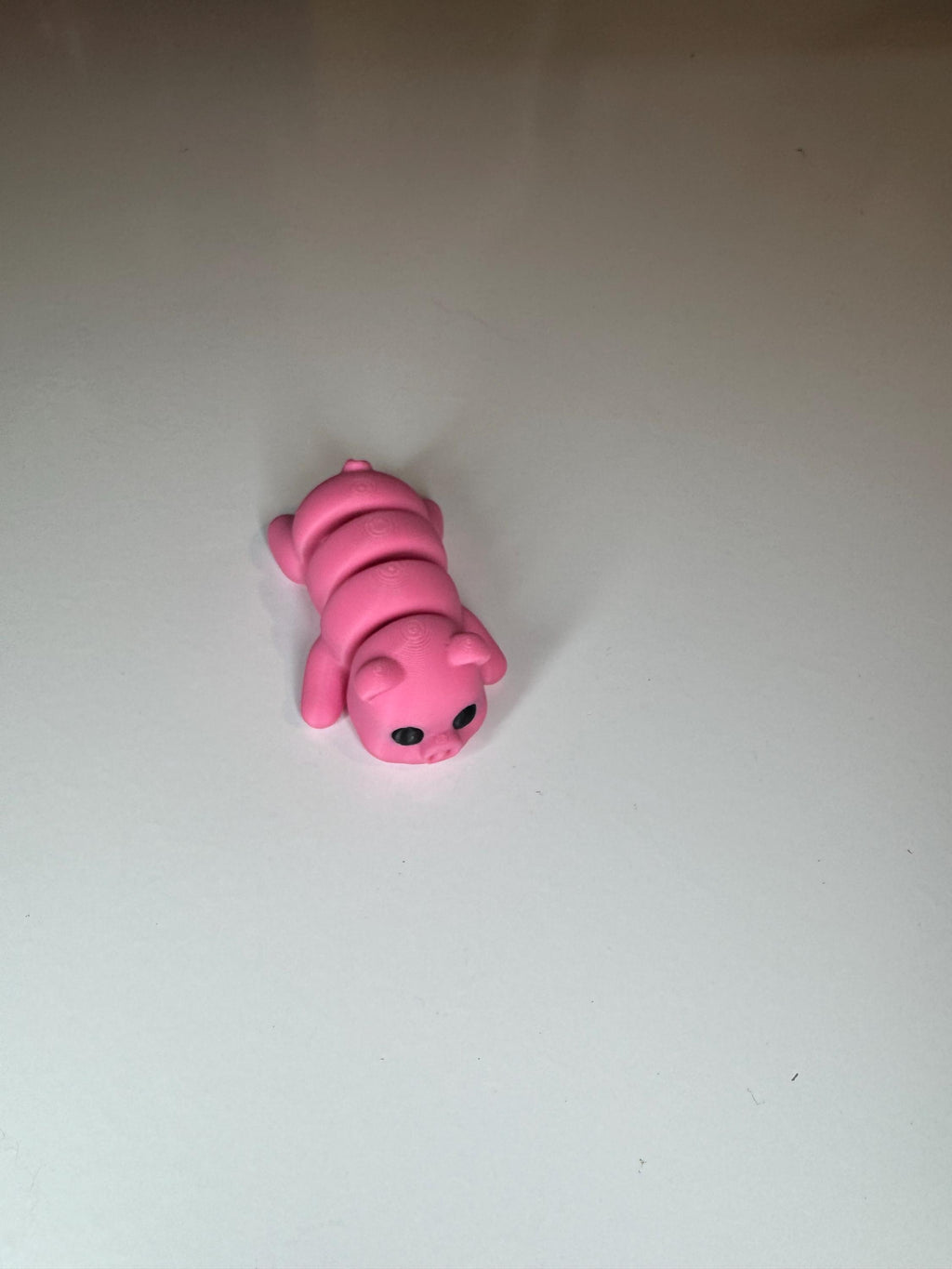Cute Pig